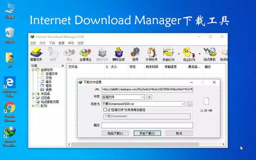 Windows電腦必裝的10款軟件，個個都是精品