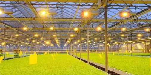 我國農業(yè)科技創(chuàng)新專利數(shù)量領先，為何技術落地如此艱難